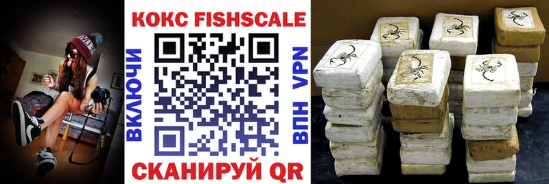 Cocaine FishScale  купить наркотики цена  Дигора 