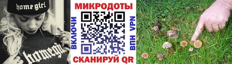 ОМГ ОМГ сайт  Дигора  Галлюциногенные грибы Magic Shrooms 